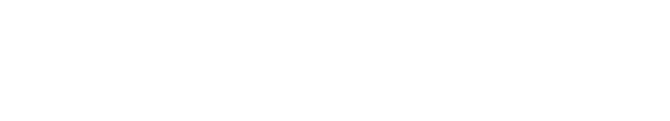 ShowTech Logo in white