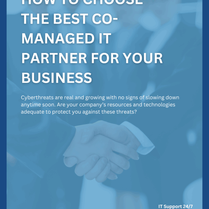 best co-managed it partner