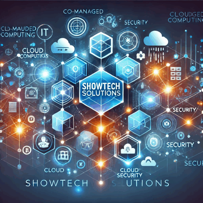 Co-managed IT services diagram showing collaboration between internal IT team and external IT provider in Tampa